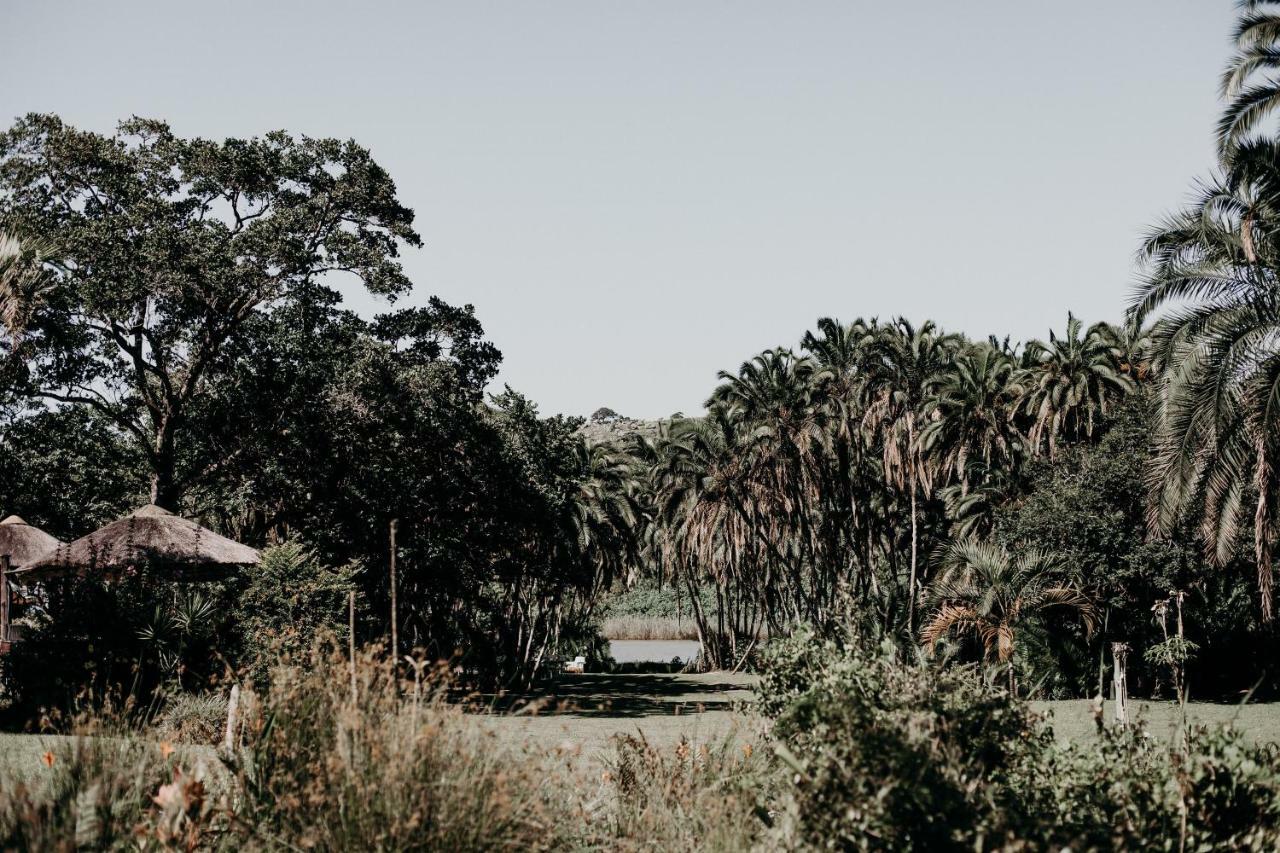 Umtamvuna River Lodge Margate Exterior photo